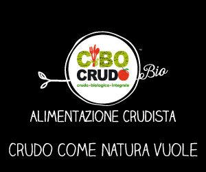 CIBO3