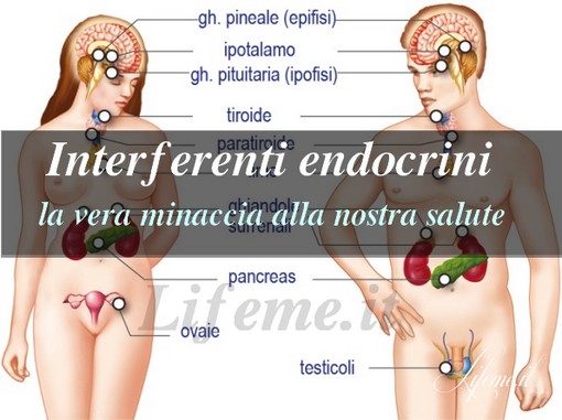 interferenti endocrini[1]