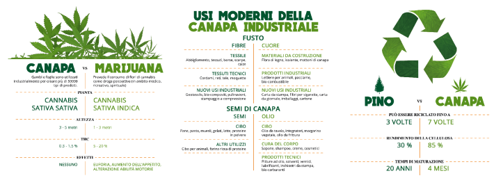 infografica Canapa