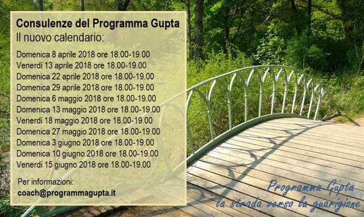 Pedestrian Bridge Peacock Island Park Garden Bridge