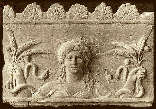 cerere (4)