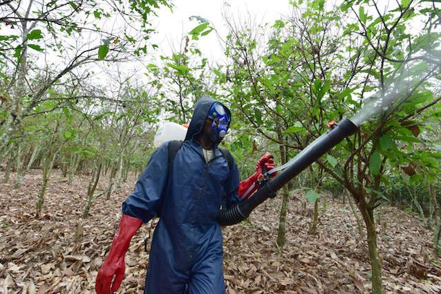 pesticidi-salute-638x425[1]