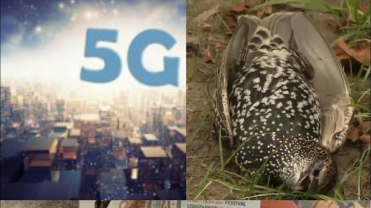 5g (2)